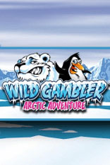Wild Gambler 2