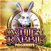 white-rabbit-slot