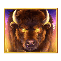 buffalo-rising-buffalo