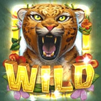 rainforest-magic-wild