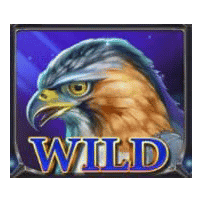 lady-hawk-wild