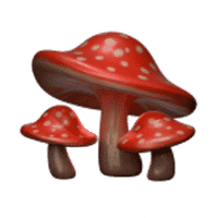 rainbow-magic-mushrooms