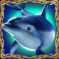 dolphins-pearl-deluxe-dolphin