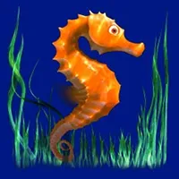 dolphins-pearl-deluxe-seahorse