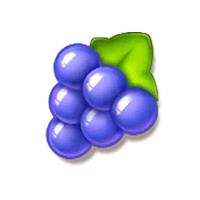 fruity-wild-bonanza-hold-spin-grapes