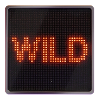 autobahn-automat-wild