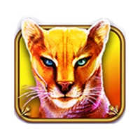 cougar-gold-HS1
