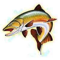 big-size-fishin-fish