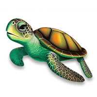 ben-gunn-robinson-turtle